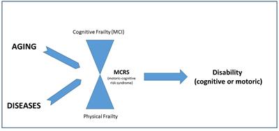 Comprehensive Model for Physical and Cognitive Frailty: Current Organization and Unmet Needs